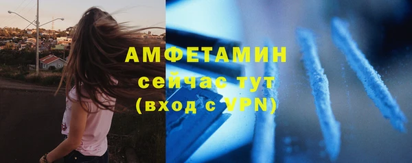 ГАЛЛЮЦИНОГЕННЫЕ ГРИБЫ Горняк