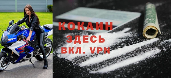 ГАЛЛЮЦИНОГЕННЫЕ ГРИБЫ Горняк
