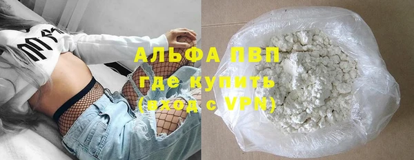 ГАЛЛЮЦИНОГЕННЫЕ ГРИБЫ Горняк