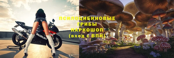 ГАЛЛЮЦИНОГЕННЫЕ ГРИБЫ Горняк