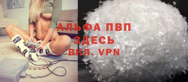 ГАЛЛЮЦИНОГЕННЫЕ ГРИБЫ Горняк
