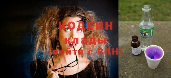 ГАЛЛЮЦИНОГЕННЫЕ ГРИБЫ Горняк