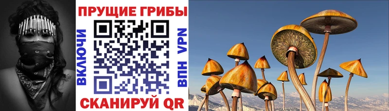 Галлюциногенные грибы GOLDEN TEACHER  кракен зеркало  Севастополь 